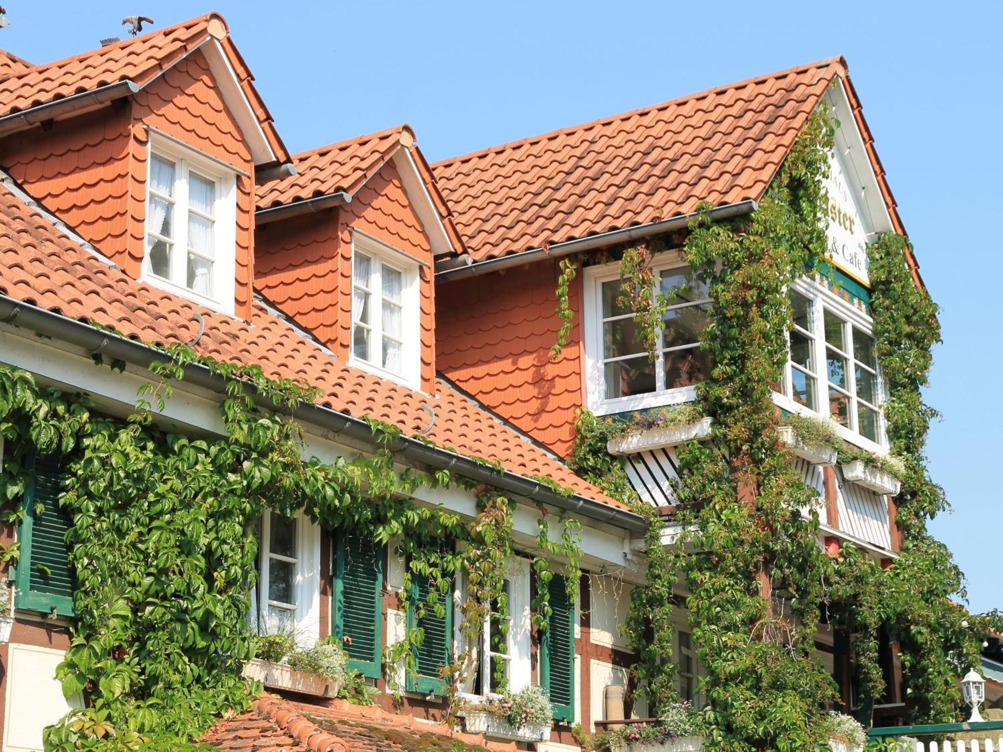 Landgasthof & Landhaus Hofmeister Diemelsee Eksteriør bilde